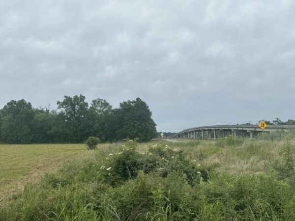 Listing Image #3 - Land for sale at 000 Hwy. 62, Orange TX 77632 Listing Image #3 - Land for sale at 000 Hwy. 62, Orange TX 77632