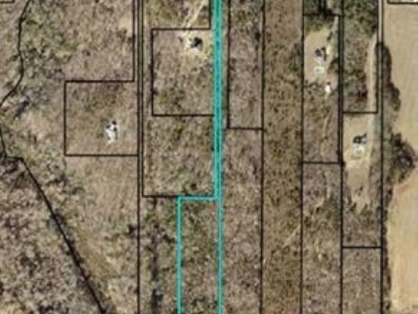 Listing Image #1 - Land for sale at 8.61 acres Flournoy Road, Hawkinsville GA 31036