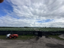 Land for sale in Turner, MI