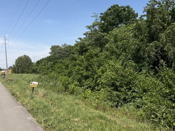 Listing Image #1 - Land for sale at 200 Dogwood Dr, Springfield TN 37172 Listing Image #1 - Land for sale at 200 Dogwood Dr, Springfield TN 37172