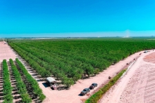 Listing Image #3 - Land for sale at White Crane Road, Atwater CA 95301
