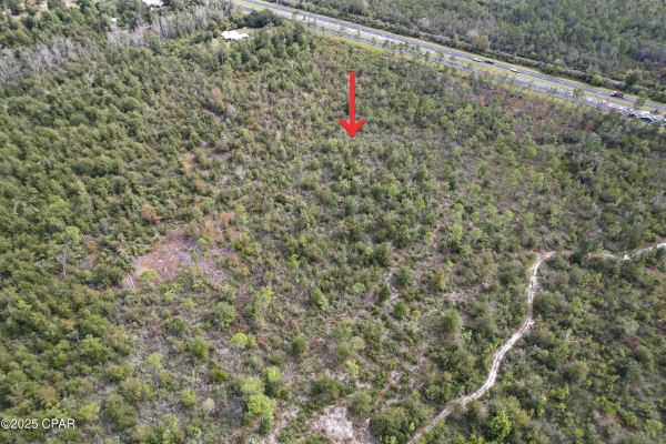 Listing Image #2 - Land for sale at Hwy 231, Panama City FL 32404