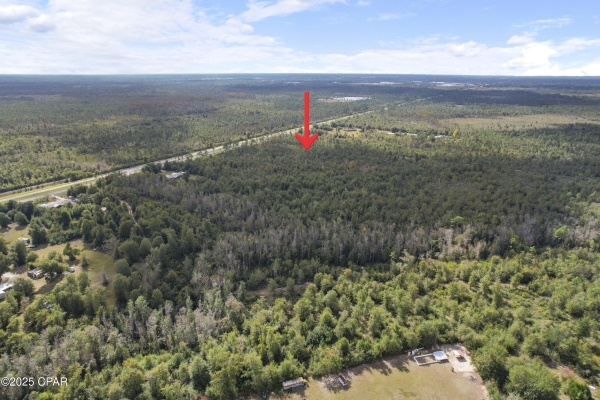 Listing Image #3 - Land for sale at Hwy 231, Panama City FL 32404