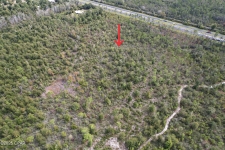 Listing Image #2 - Land for sale at Hwy 231, Panama City FL 32404