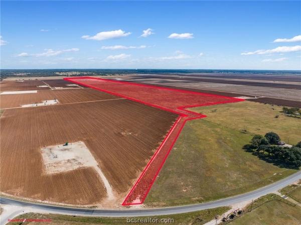 Listing Image #1 - Others for sale at TBD Fm 50 - 173.62 Acres, Hearne TX 77859