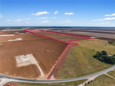Listing Image #2 - Others for sale at TBD Fm 50 - 173.62 Acres, Hearne TX 77859
