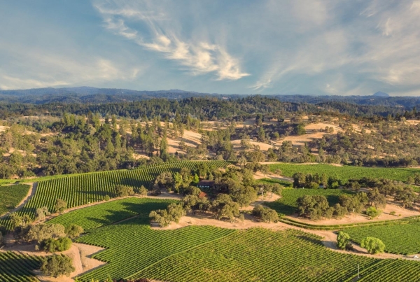 Listing Image #1 - Land for sale at Veauta Road, Plymouth CA 95669