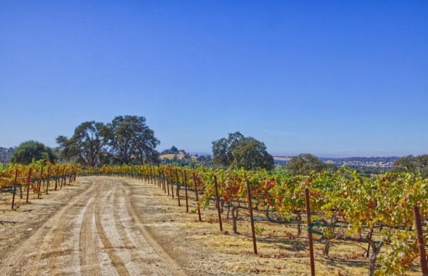 Listing Image #2 - Land for sale at Veauta Road, Plymouth CA 95669
