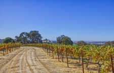 Listing Image #2 - Land for sale at Veauta Road, Plymouth CA 95669
