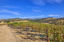 Listing Image #3 - Land for sale at Veauta Road, Plymouth CA 95669