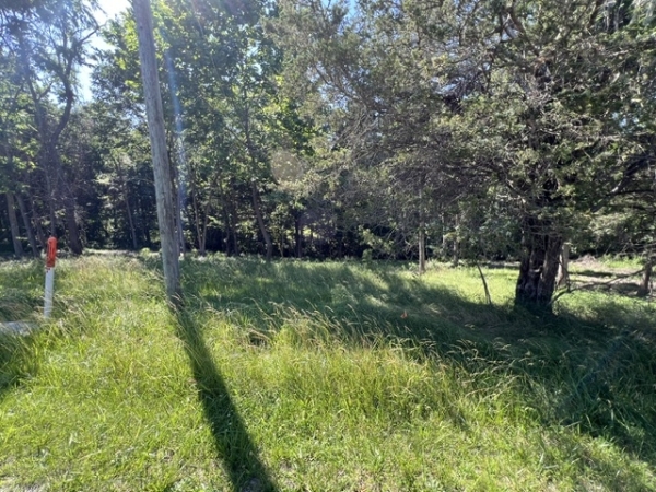 Listing Image #3 - Land for sale at Lot 1309 and Lot 1310 Lakeshore Dr S, Goreville IL 62939