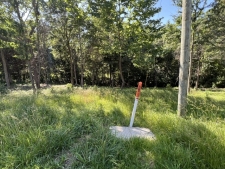Listing Image #2 - Land for sale at Lot 1309 and Lot 1310 Lakeshore Dr S, Goreville IL 62939