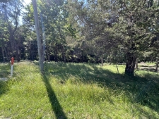 Listing Image #3 - Land for sale at Lot 1309 and Lot 1310 Lakeshore Dr S, Goreville IL 62939