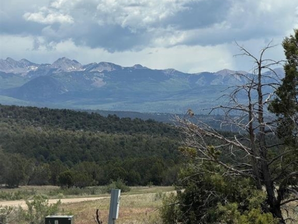 Listing Image #2 - Land for sale at TBD Road J.9, Mancos CO 81328 Listing Image #2 - Land for sale at TBD Road J.9, Mancos CO 81328