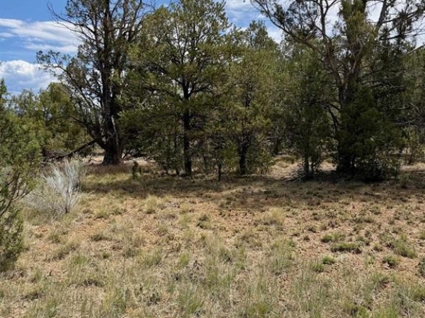 Listing Image #3 - Land for sale at TBD Road J.9, Mancos CO 81328 Listing Image #3 - Land for sale at TBD Road J.9, Mancos CO 81328