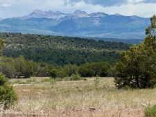 Land property for sale in Mancos, CO