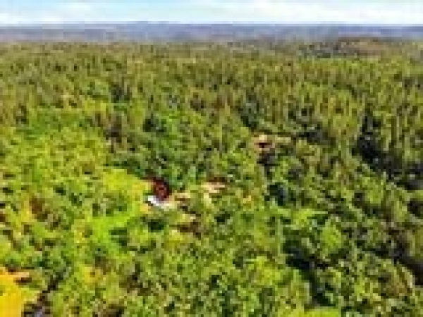 Listing Image #1 - Land for sale at Placer Hills, Meadow Vista CA 95722