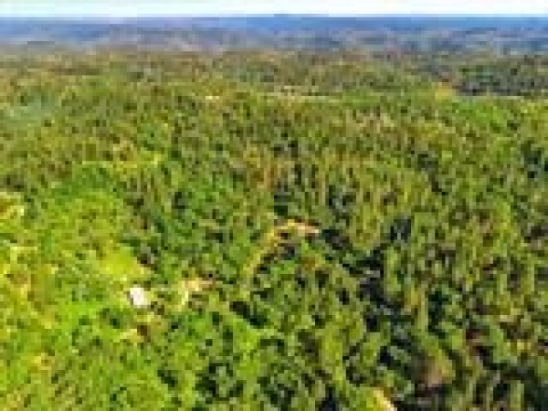 Listing Image #2 - Land for sale at Placer Hills, Meadow Vista CA 95722