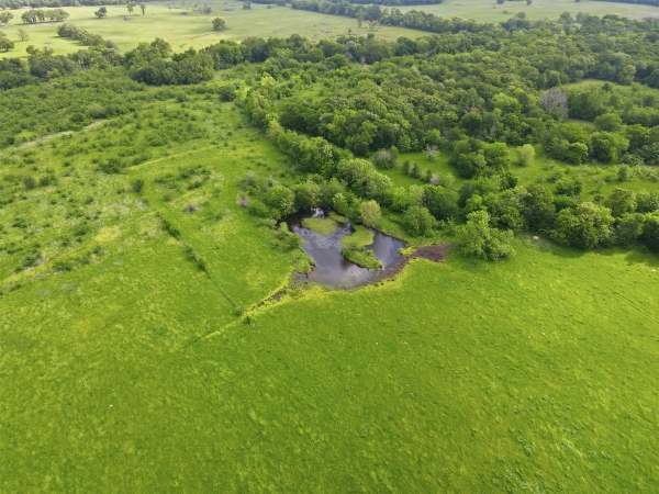Listing Image #3 - Others for sale at TBD N Highway 19, Sulphur Springs TX 75482