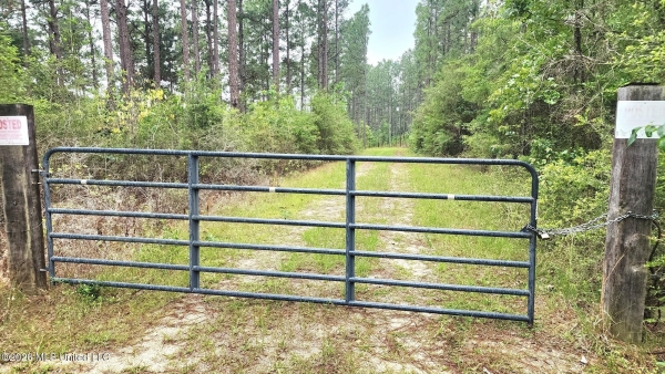 Listing Image #2 - Land for sale at 3 Guillen Drive, Poplarville MS 39470 Listing Image #2 - Land for sale at 3 Guillen Drive, Poplarville MS 39470