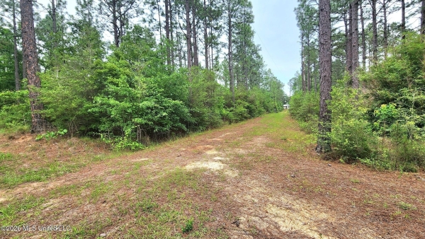 Listing Image #3 - Land for sale at 3 Guillen Drive, Poplarville MS 39470 Listing Image #3 - Land for sale at 3 Guillen Drive, Poplarville MS 39470