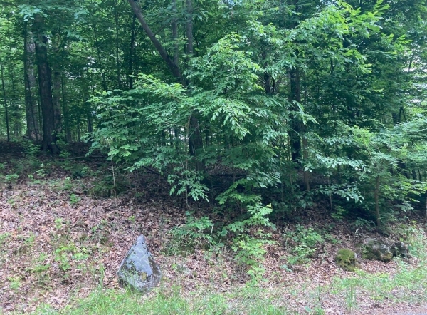 Listing Image #1 - Land for sale at Briarwood Drive, Erin TN 37061 Listing Image #1 - Land for sale at Briarwood Drive, Erin TN 37061