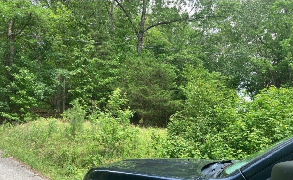 Listing Image #2 - Land for sale at Briarwood Drive, Erin TN 37061 Listing Image #2 - Land for sale at Briarwood Drive, Erin TN 37061