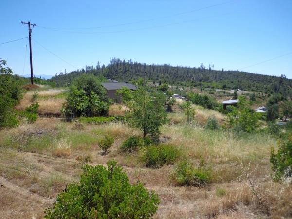 Listing Image #2 - Land for sale at 15339 Mccomb Hill, Shasta CA 96087 Listing Image #2 - Land for sale at 15339 Mccomb Hill, Shasta CA 96087