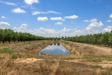 Listing Image #3 - Land for sale at 8925 E Monte Vista, Denair CA 95316
