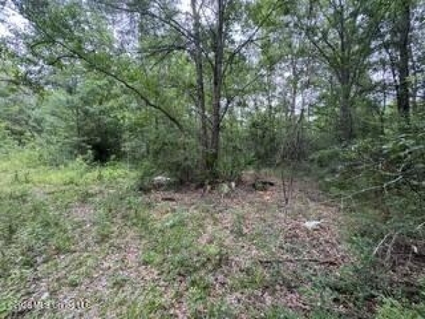 Listing Image #3 - Land for sale at 11102 Coleman Road, Gulfport MS 39503 Listing Image #3 - Land for sale at 11102 Coleman Road, Gulfport MS 39503