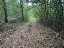 Listing Image #2 - Land for sale at 11102 Coleman Road, Gulfport MS 39503