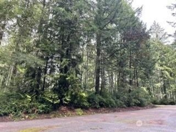 Listing Image #1 - Land for sale at 11307 114TH STREET CT, ANDERSON ISLAND WA 98303 Listing Image #1 - Land for sale at 11307 114TH STREET CT, ANDERSON ISLAND WA 98303