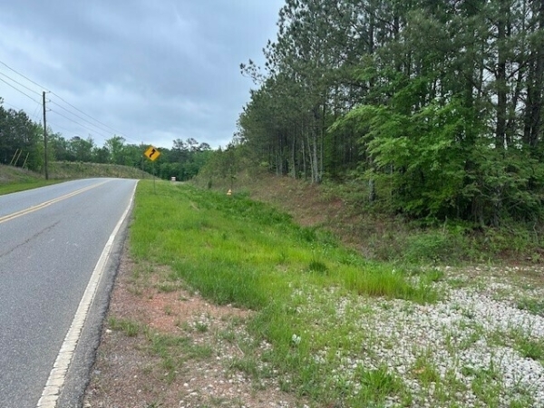 Listing Image #2 - Land for sale at 55 Spring Place Road Northwest, Cartersville GA 30121 Listing Image #2 - Land for sale at 55 Spring Place Road Northwest, Cartersville GA 30121