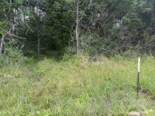Land for sale in Ava, IL