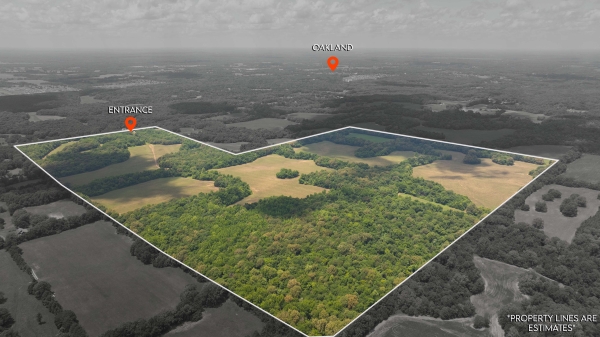 Listing Image #1 - Land for sale at 0 Wilbourne Rd, Oakland TN 38060 Listing Image #1 - Land for sale at 0 Wilbourne Rd, Oakland TN 38060