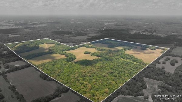 Listing Image #3 - Land for sale at 0 Wilbourne Rd, Oakland TN 38060 Listing Image #3 - Land for sale at 0 Wilbourne Rd, Oakland TN 38060