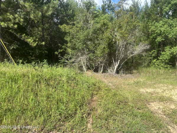Listing Image #1 - Land for sale at 0 Mississippi 67, Biloxi MS 39532 Listing Image #1 - Land for sale at 0 Mississippi 67, Biloxi MS 39532