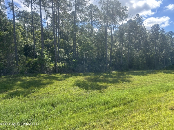 Listing Image #3 - Land for sale at 0 Mississippi 67, Biloxi MS 39532 Listing Image #3 - Land for sale at 0 Mississippi 67, Biloxi MS 39532