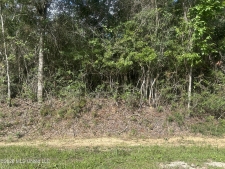 Listing Image #2 - Land for sale at 0 Mississippi 67, Biloxi MS 39532