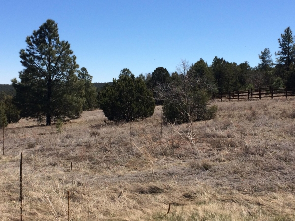 Listing Image #1 - Others for sale at 10 WOODLAND Court, Tijeras NM 87059 Listing Image #1 - Others for sale at 10 WOODLAND Court, Tijeras NM 87059