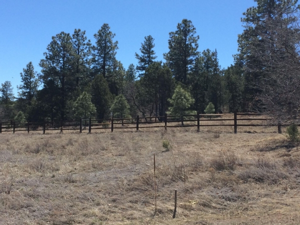 Listing Image #2 - Others for sale at 10 WOODLAND Court, Tijeras NM 87059 Listing Image #2 - Others for sale at 10 WOODLAND Court, Tijeras NM 87059
