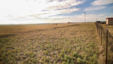 Listing Image #2 - Others for sale at Cricket Lane, Estancia NM 87016