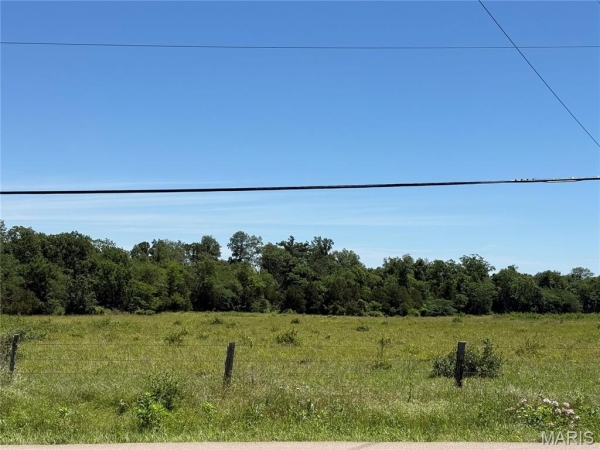 Listing Image #1 - Others for sale at 2 Flat River Road, Farmington MO 63640