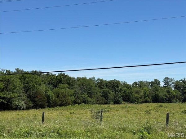 Listing Image #2 - Others for sale at 2 Flat River Road, Farmington MO 63640
