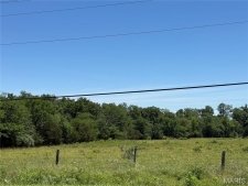 Listing Image #2 - Others for sale at 2 Flat River Road, Farmington MO 63640