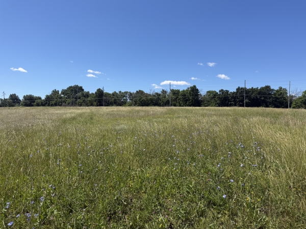 Listing Image #2 - Land for sale at XXX State Highway 11, Kirksville MO 63501