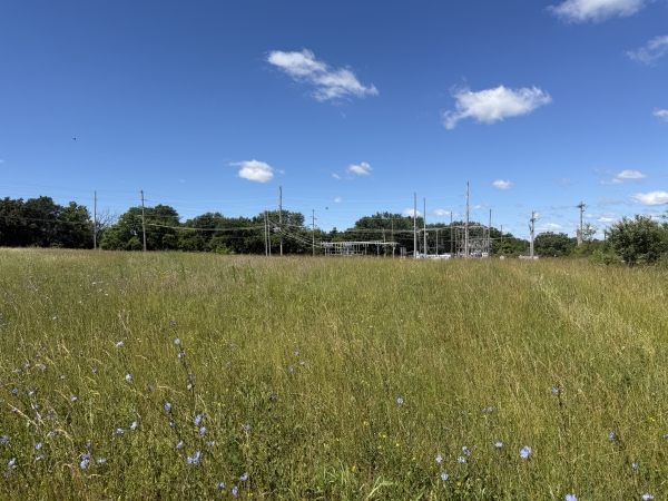 Listing Image #3 - Land for sale at XXX State Highway 11, Kirksville MO 63501