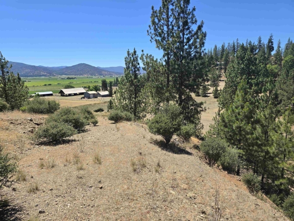 Listing Image #1 - Others for sale at 124 Chaparral, Fort Jones CA 96032 Listing Image #1 - Others for sale at 124 Chaparral, Fort Jones CA 96032