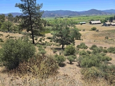 Listing Image #2 - Others for sale at 124 Chaparral, Fort Jones CA 96032