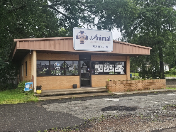 Listing Image #3 - Office for sale at 821 US 79 N, Henderson TX 75652